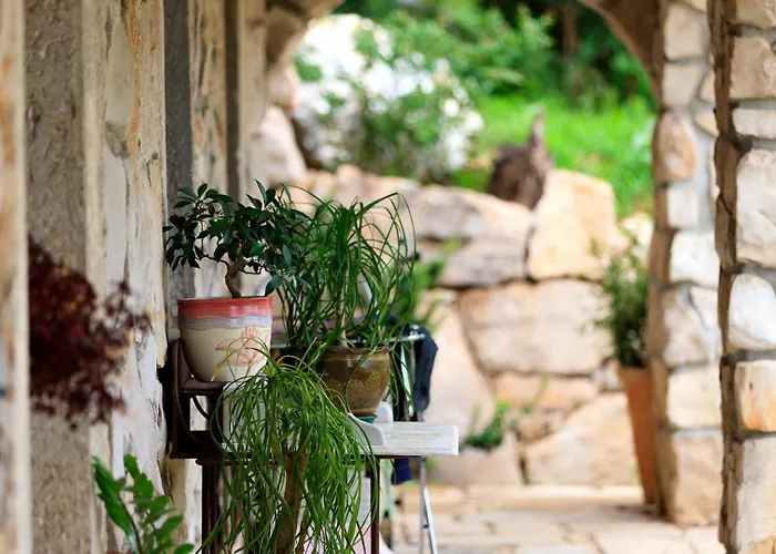 Vila House Sound Of Nature By Guide *